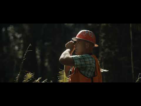 Wood is Good: How Sustainable Forestry Powers Our Future