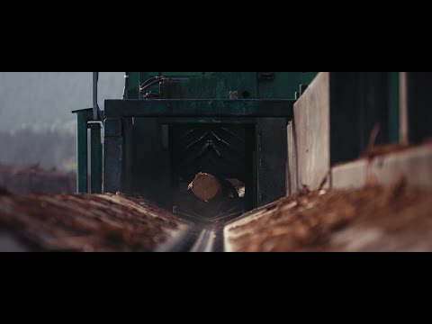 Nicholson Brand Film